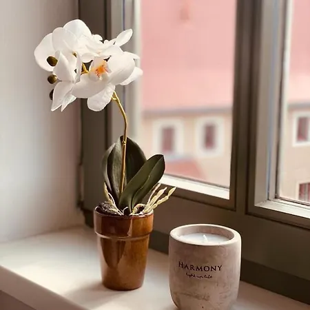 Freiberg Homestay